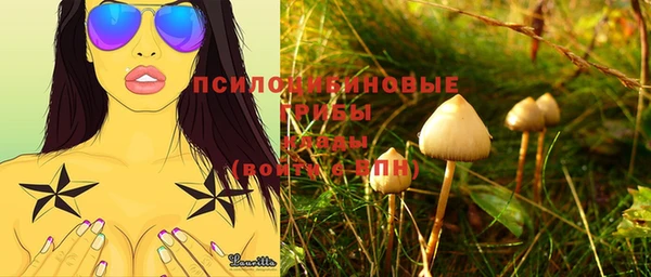 крисы Ладушкин