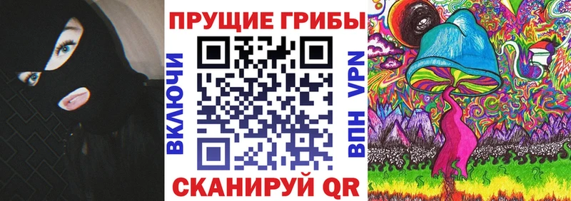 Псилоцибиновые грибы Psilocybe  hydra tor  Нариманов  где купить наркотик 